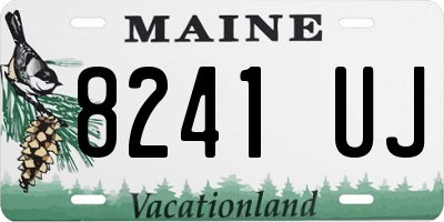 ME license plate 8241UJ