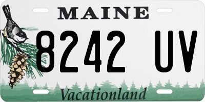 ME license plate 8242UV