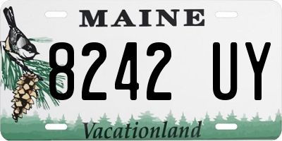 ME license plate 8242UY