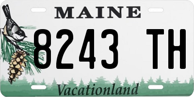 ME license plate 8243TH