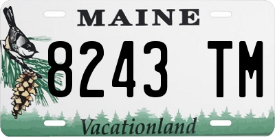 ME license plate 8243TM