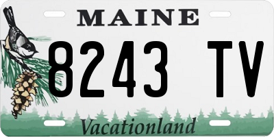 ME license plate 8243TV