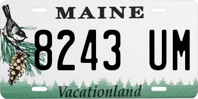 ME license plate 8243UM