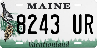 ME license plate 8243UR