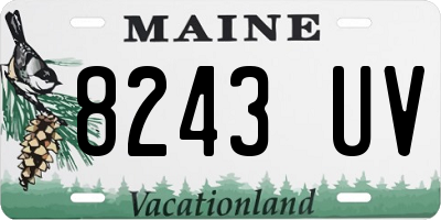 ME license plate 8243UV