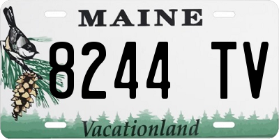 ME license plate 8244TV