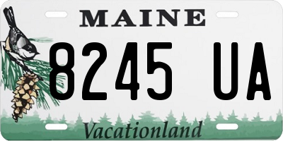 ME license plate 8245UA