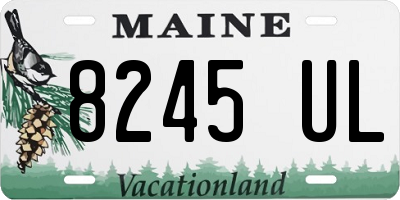 ME license plate 8245UL