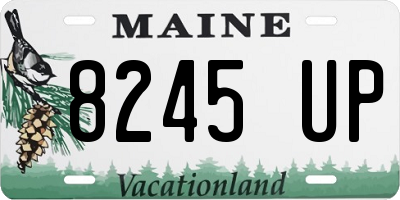 ME license plate 8245UP