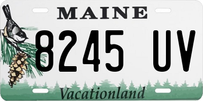 ME license plate 8245UV