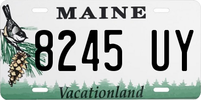 ME license plate 8245UY