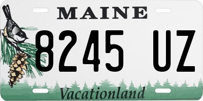 ME license plate 8245UZ