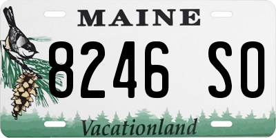 ME license plate 8246SO