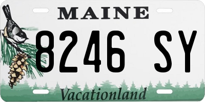 ME license plate 8246SY