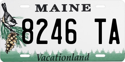 ME license plate 8246TA