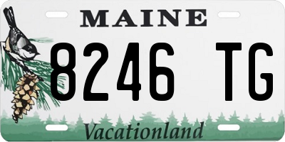 ME license plate 8246TG