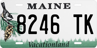 ME license plate 8246TK
