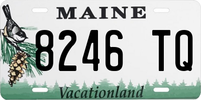 ME license plate 8246TQ