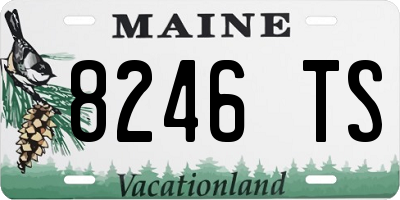 ME license plate 8246TS