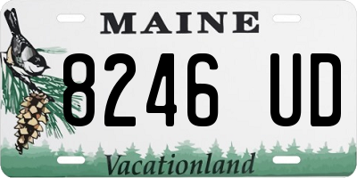ME license plate 8246UD