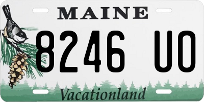 ME license plate 8246UO