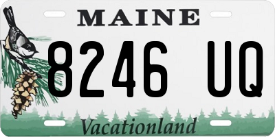 ME license plate 8246UQ