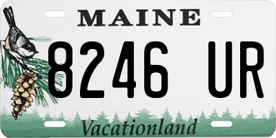 ME license plate 8246UR