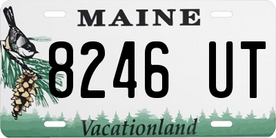 ME license plate 8246UT