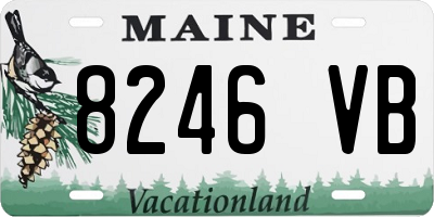 ME license plate 8246VB