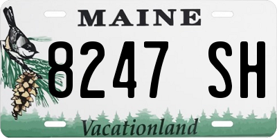 ME license plate 8247SH