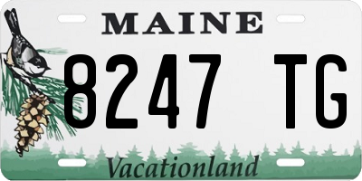 ME license plate 8247TG