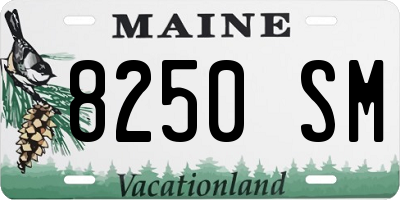 ME license plate 8250SM