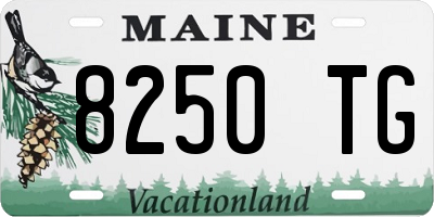 ME license plate 8250TG