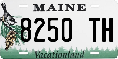 ME license plate 8250TH