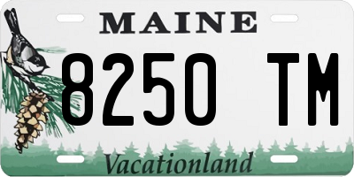 ME license plate 8250TM