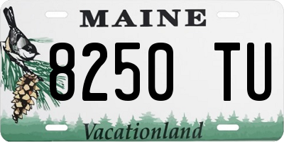 ME license plate 8250TU