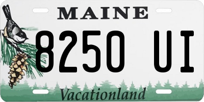 ME license plate 8250UI