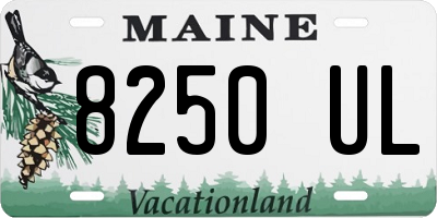 ME license plate 8250UL