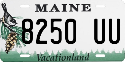 ME license plate 8250UU