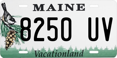 ME license plate 8250UV