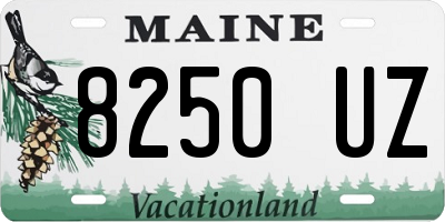 ME license plate 8250UZ