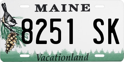 ME license plate 8251SK