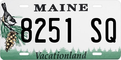 ME license plate 8251SQ