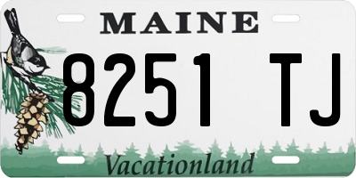 ME license plate 8251TJ