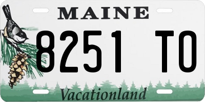 ME license plate 8251TO