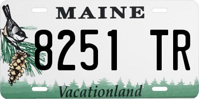 ME license plate 8251TR