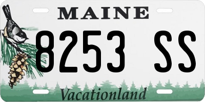ME license plate 8253SS