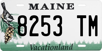 ME license plate 8253TM