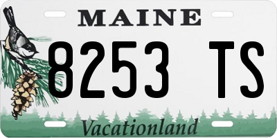 ME license plate 8253TS