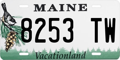 ME license plate 8253TW